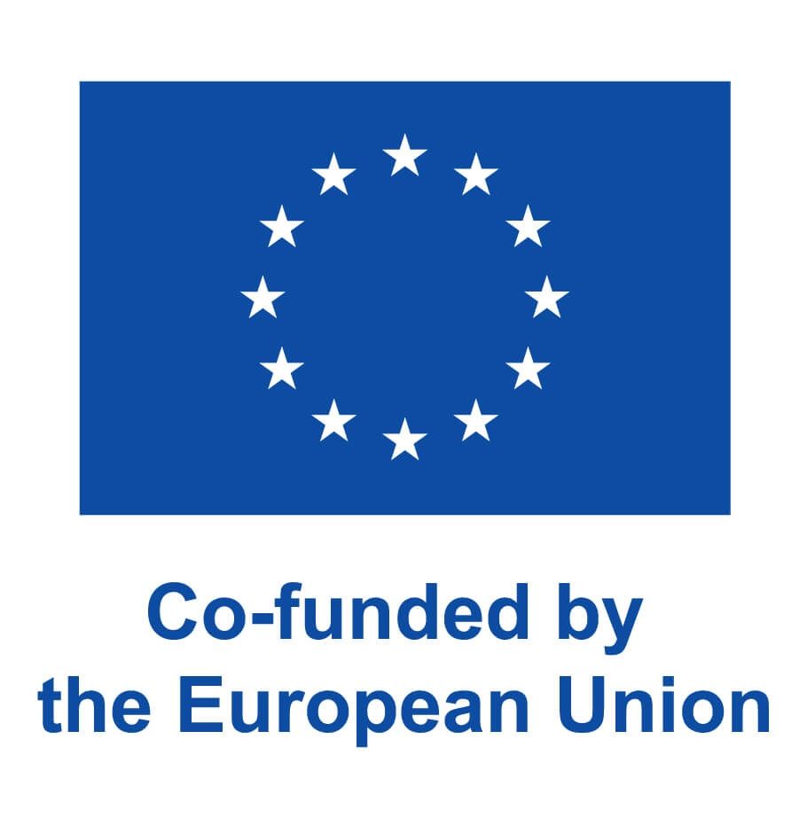 Co-funded by the European Union